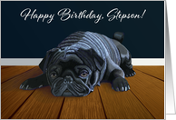 Black Pug Waiting for Playtime--Stepson Birthday card