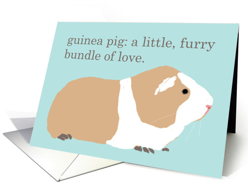 Sympathy - Loss of Pet Guinea Pig card (1031679)