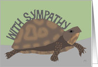 Loss of Pet Turtle Sympathy Card