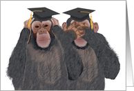 Chimpanzee Hear, See No Evil - Graduation Congratulations for Twins card