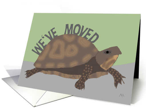 Turtle We've Moved Announcement card (1088468)