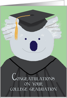 College Graduation Congratulations, Koala Bear Humor card