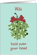 Mistletoe Kiss Christmas Card for Wife card