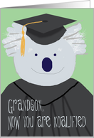 Graduation Congratulations for Grandson, Funny Koala Bear Card