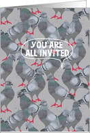 Pigeon Issuing a Party Invitation card