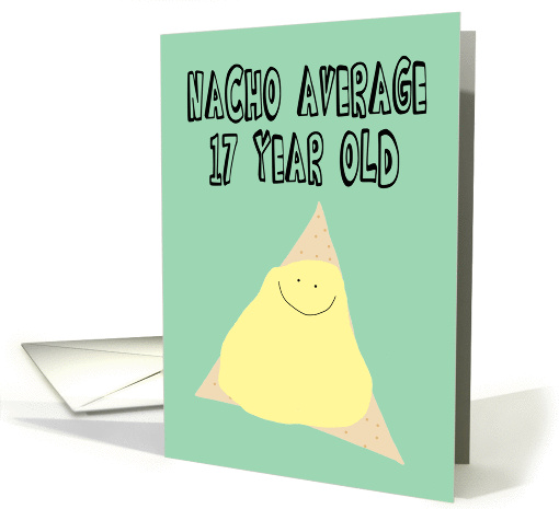 Funny Birthday Card for a 17 year old card (1443038)