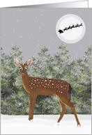 Deer in a Snowy Scene with Santa Flying in Front of the Moon card