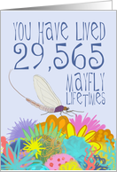 Mayfly 81st Birthday card