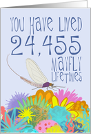 Mayfly 67th Birthday card