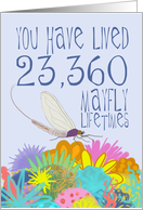 Mayfly 64th Birthday card