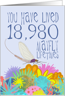 Mayfly 52nd Birthday card