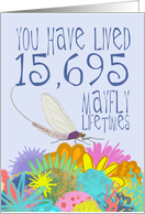 Mayfly 43rd Birthday card