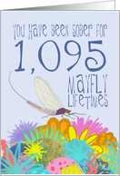 3rd Anniversary of Addiction Recovery, in Mayfly Years card