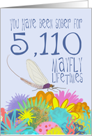 14th Anniversary of Addiction Recovery, in Mayfly Years card