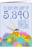 16th Anniversary of Addiction Recovery, in Mayfly Years card