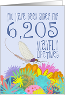 17th Anniversary of Addiction Recovery, in Mayfly Years card