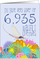 19th Anniversary of Addiction Recovery, in Mayfly Years card