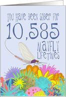 29th Anniversary of Addiction Recovery, in Mayfly Years card