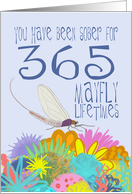 1st Birthday of Addiction Recovery, in Mayfly Years card