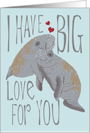 Romantic Manatee card