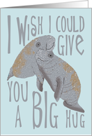 Manatee Big Hug, Miss You from Far Away card