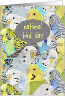 Wedding Anniversary on National Bird Day, January 5th card