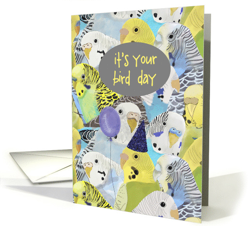 It's Your Bird Day (Birthday), from Group card (1556066)