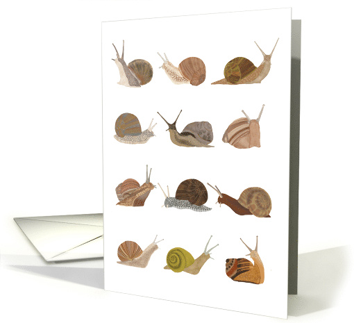 Illustrated Snails card (1561456)