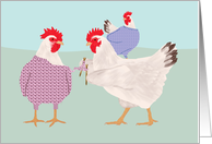 Chicken Knitting Blank Note card