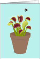 Venus Flytrap Trying...