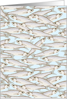 Minnows Blank Note card