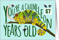 57 Year Old Birthday Getting Older Chameleon Pun card