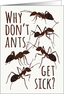 Ant Pun Get Well card