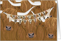 Cow Pun Thank You Moochas Gracias From All of Us card