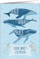 Funny Whale Pun Congratulations on Getting Licensed card