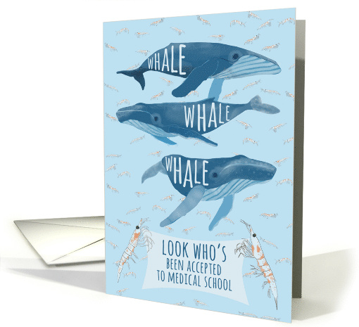Funny Whale Pun Congratulations on Acceptance to Medical School card