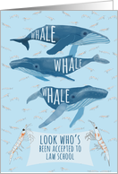 Funny Whale Pun Congratulations on Acceptance to Law School card