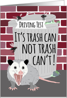 Funny Opossum Good Luck on Your Driving Test card