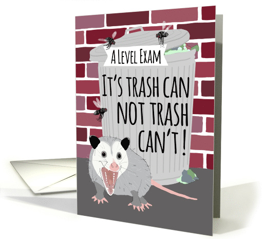 Funny Opossum Good Luck on A Level Exam card (1688620)