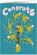 Spider Monkeys and Bubble Gum Congratulations card