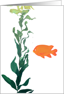 Garibaldi fish note card