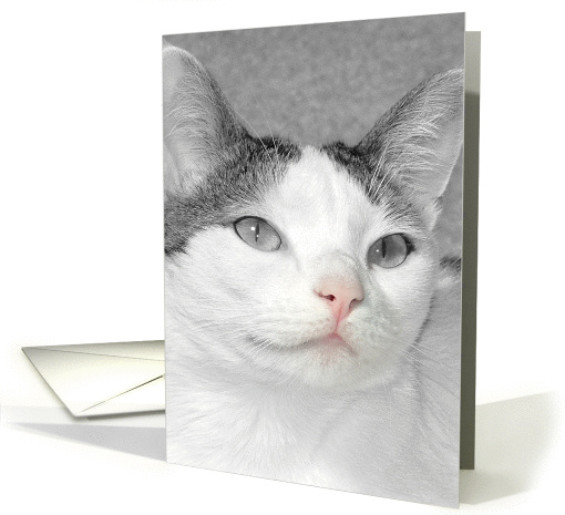 Cat with Pink Nose, Blank Notecard card (984799)