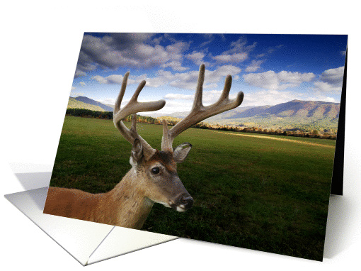 Thanks for the Business Referral, Mountain Meadow Buck card (995041)