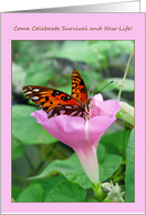 5 years cancer free butterfly invitation. card