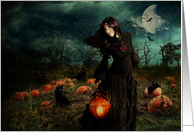 Samhain’s night card