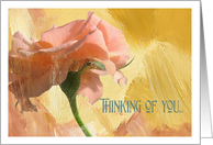 Thinking of You Rose card