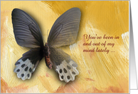 Thinking of you Butterfly card