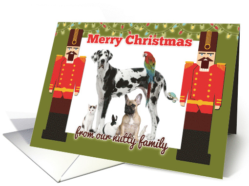Merry Christmas Nutcracker Theme Photo Card from Our Nutty Family card