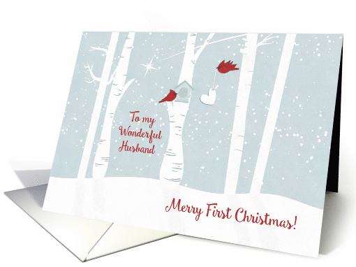 Merry First Christmas to My Wonderful Husband with Love Birds card