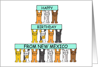Happy Birthday from New Mexico Cartoon Cats card